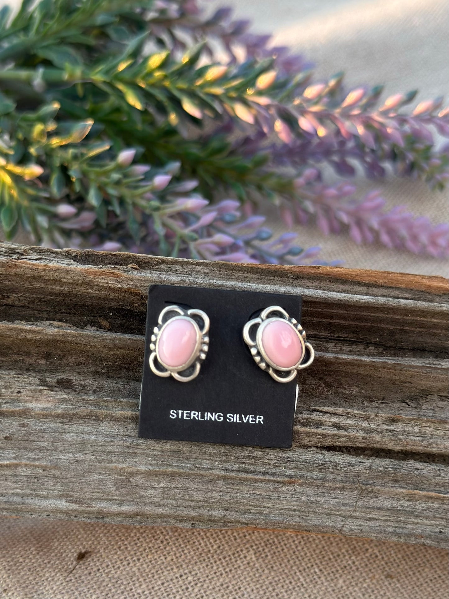 Conch Studs