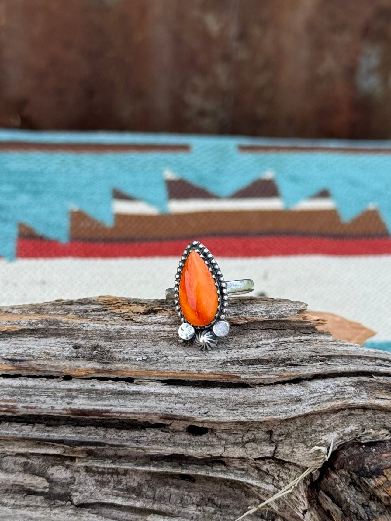 Spiny oyster ring