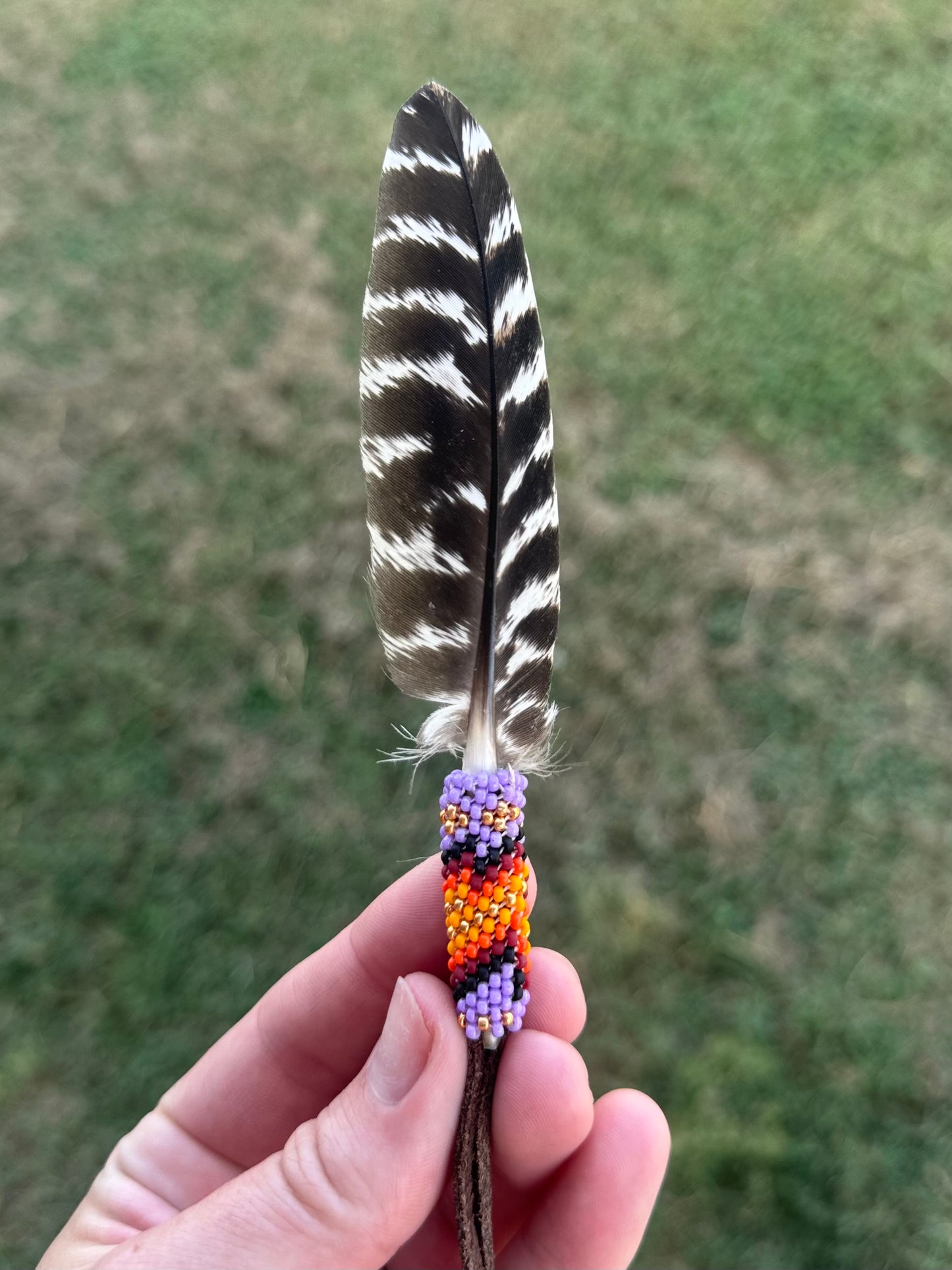 Turkey Feather
