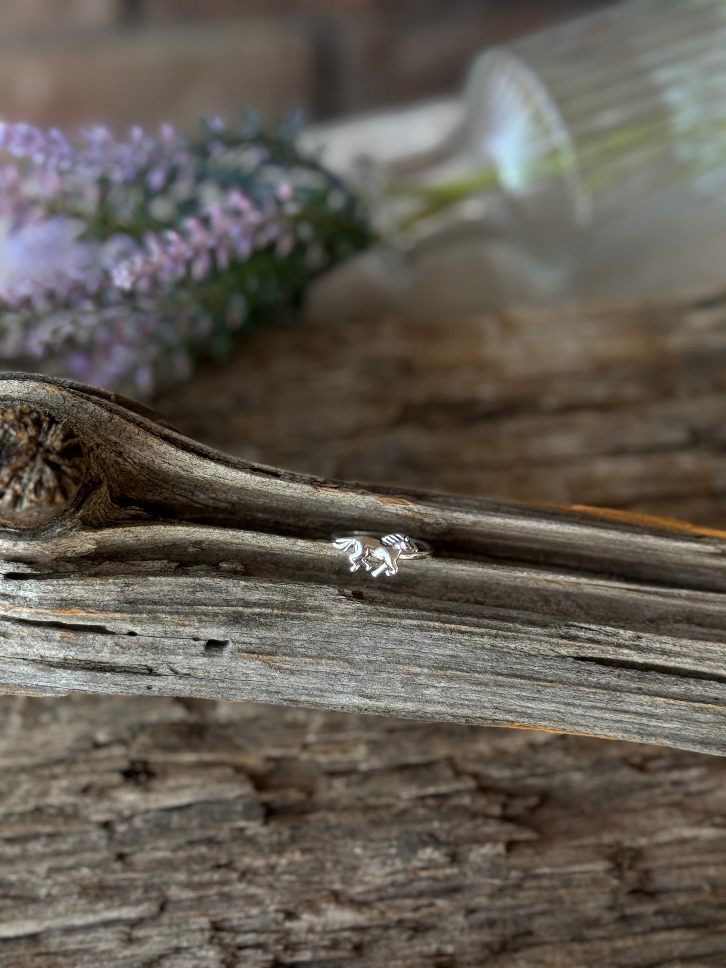 Horse ring